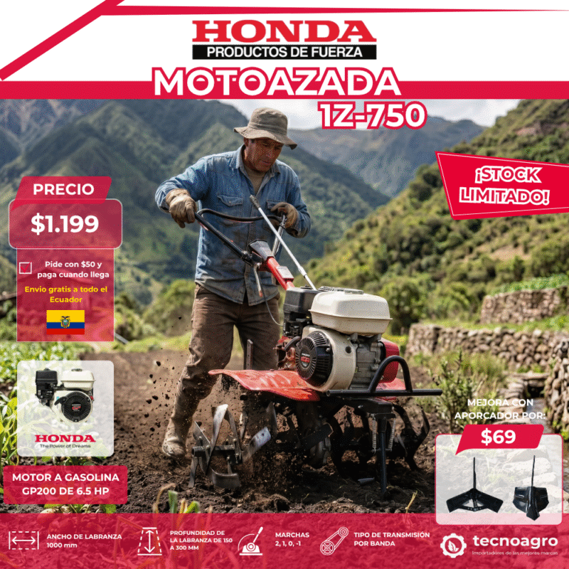 MOTOAZADA HONDA 1Z-750