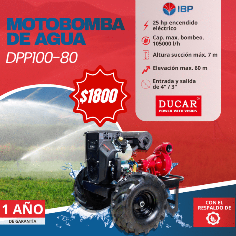 Motobomba DPP100-80 Motobomba de agua DPP100-80