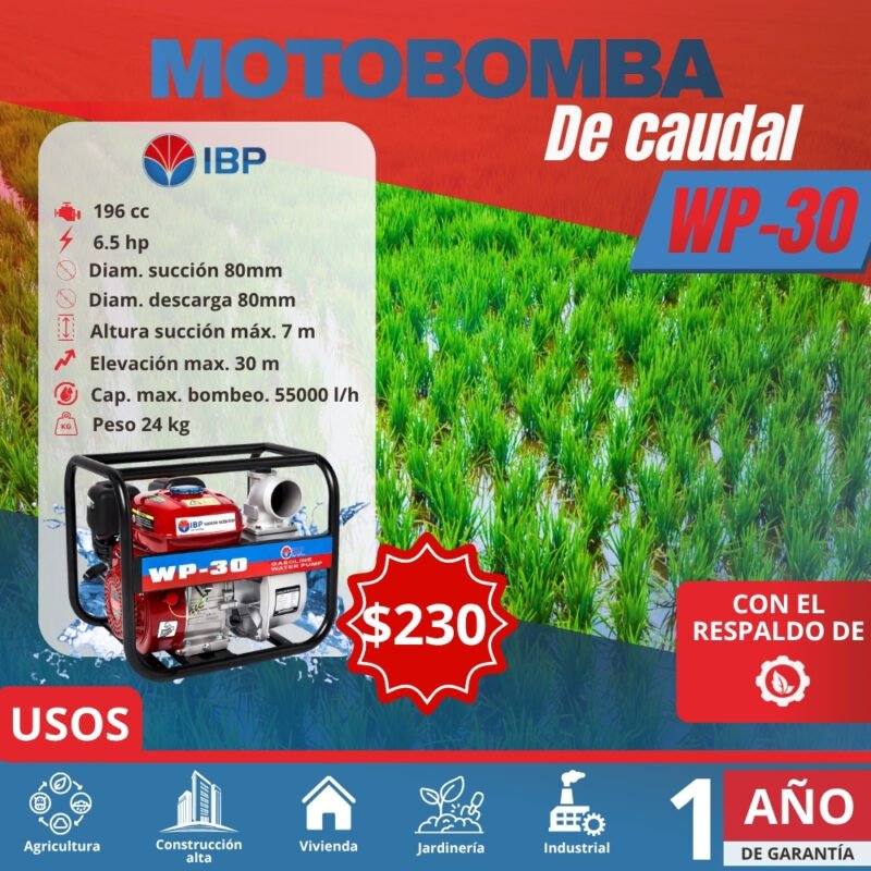 WP-30. Flyer Motobomba de caudal WP-30